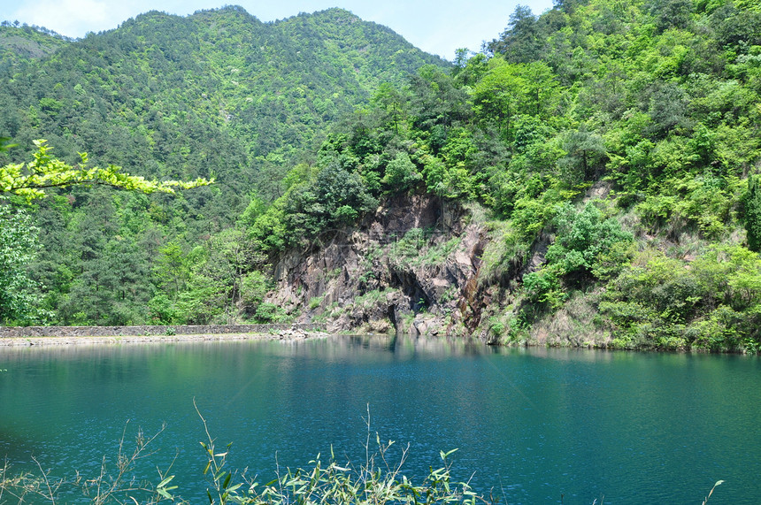 桐庐大奇山国家森林公园图片