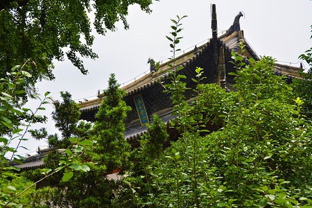 江苏六大著名风景区之一狼山背景图片