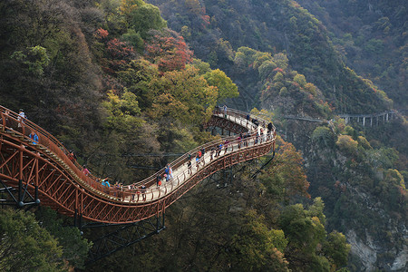 陕西少华山国家森林公园背景