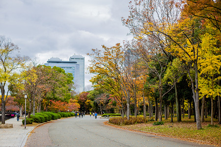 秋天人们日本秋天的街道背景