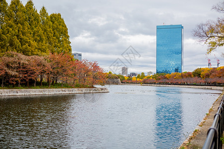 公园河景日本大阪城秋景背景