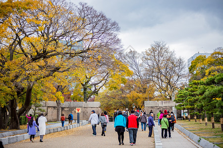 日本大阪城秋景背景图片