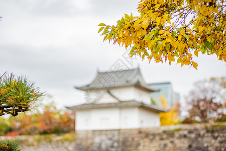 日本大阪城背景图片