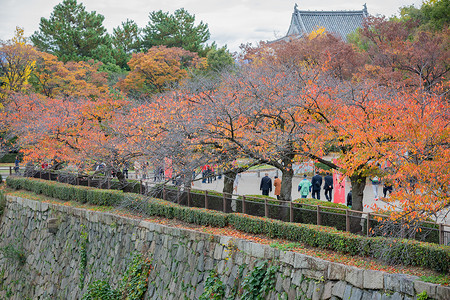 日本秋景背景图片
