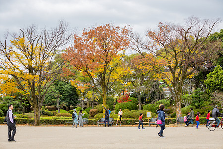 日本大阪城公园秋景背景图片