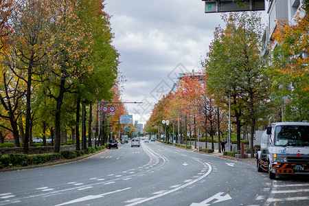 日本秋景图片