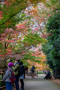 日本御土居秋景图片