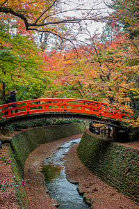 天秋季日本京都天龙寺风景背景