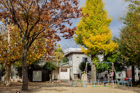 日本秋天小景图片