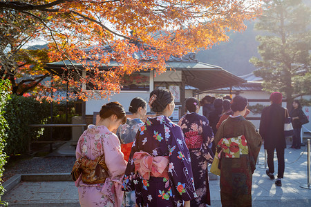 天龙寺赏秋日本秋景穿和服高清图片