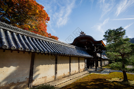 日本天龙寺风景图片