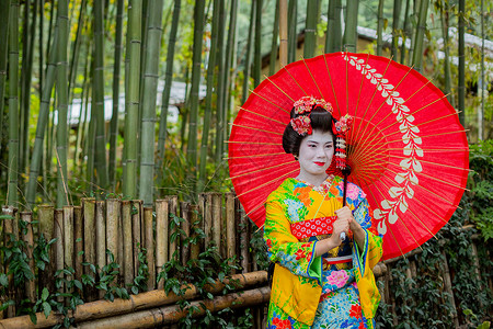 打伞的艺妓日本艺妓背景