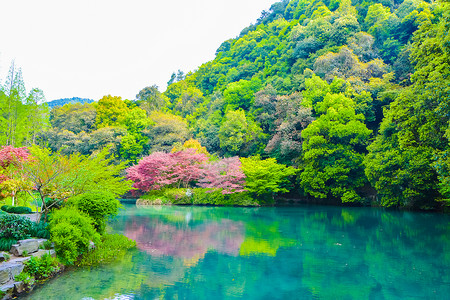 一尺涧杭州九溪十八涧景区背景