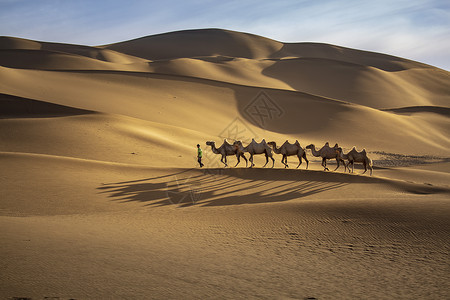 沙漠探险沙漠驼队背景