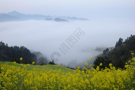 安徽石潭风景区景色石谭风景区高清图片素材