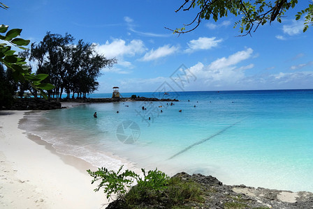 巴巴多斯美丽的海与沙滩风光奇秀海景迷人是驰名世界的海岛度假胜地背景