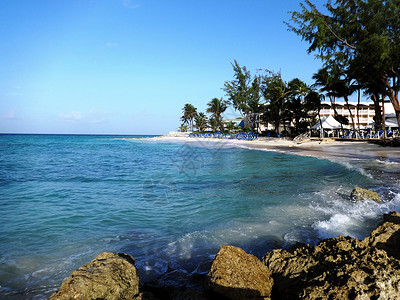 家有神兽巴巴多斯是驰名世界的海岛度假胜地有百多家海边度假酒店背景