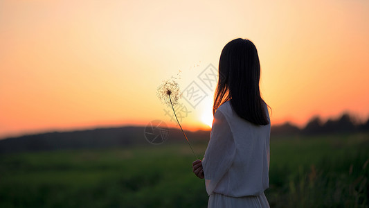 眺望的女孩手持蒲公英女性设计图片