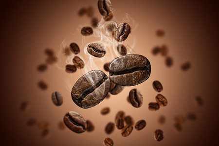 果实蝇咖啡豆设计图片