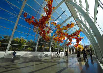 努兹利奇美国西雅图奇胡利玻璃艺术园背景