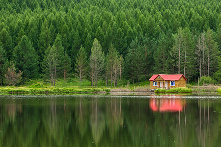 草原上树屋乌兰布统草原背景