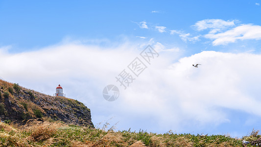 哥克塔新西兰奥塔哥半岛海峡风光背景