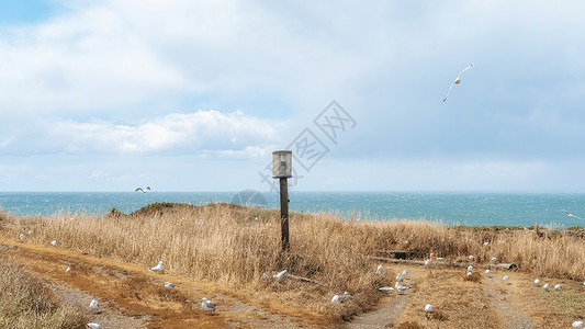 哥克塔新西兰奥塔哥半岛海峡风光背景