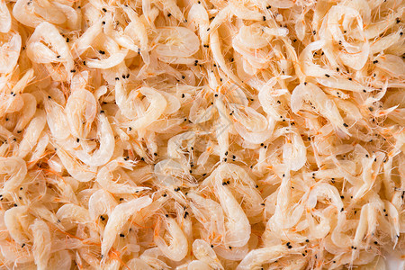 小虾米食物虾米高清图片