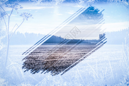 冬天的田野霜降设计图片