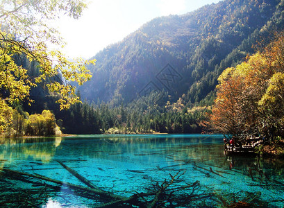 原研哉美哉九寨沟背景