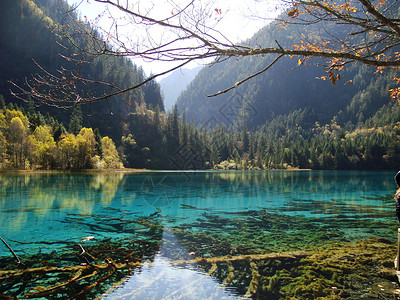 原研哉美哉九寨沟背景