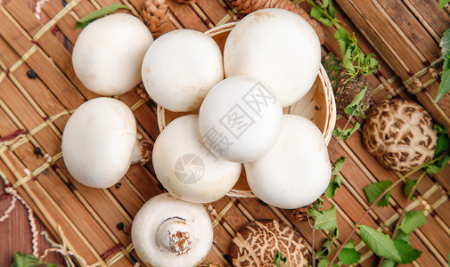 鲜白蘑菇营养白蛋高清图片