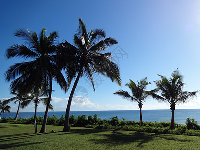 莫桑比克海峡风光蓝天椰树海风背景图片