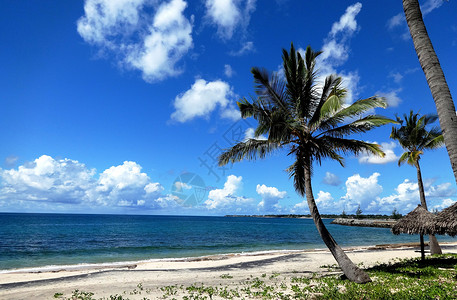 鲁比克莫桑比克海峡风光蓝天白云椰树海风背景