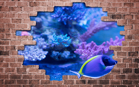 海豚背景墙3D海豚高清图片