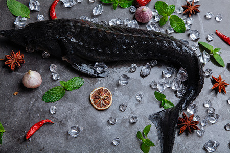 黑鱼财鱼鱼类黑鱼河高清图片