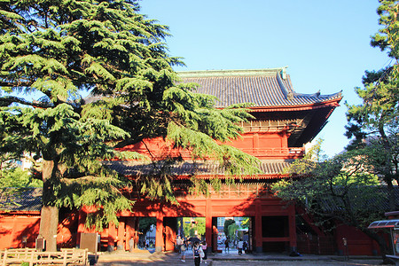 日本东京增上寺背景图片