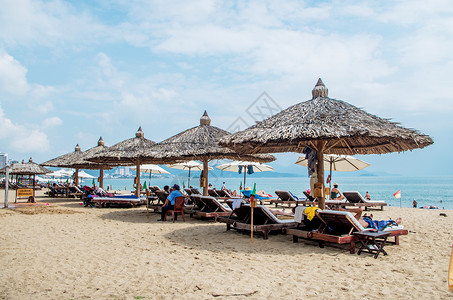 旅游之椰子树越南芽庄海滩风景背景