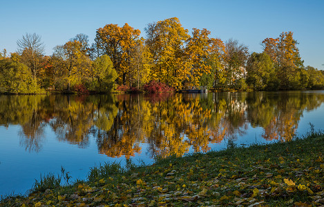 俄罗斯园林秋景图片