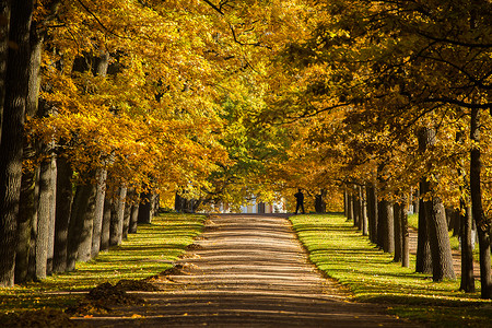 加泰罗尼亚宫俄罗斯最美的园林秋色背景