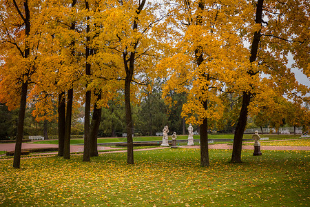 顾和宫俄罗斯秋季最美的皇家园林叶卡捷琳娜宫花园秋色背景