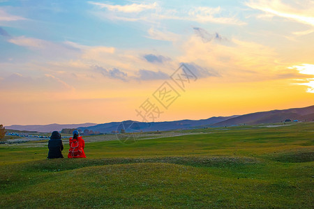 秋天的杨树内蒙古自治区乌兰布统杨树背景点背景