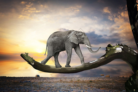 大象背影超现实主义设计图片