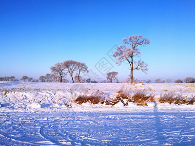 曾通村吉林雾凇岛冰雪天地宛如仙境背景