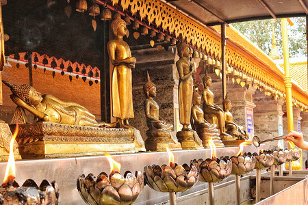 金莲花灯泰国清迈双龙寺的莲花灯和金身佛像背景
