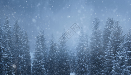 森林雪景宽屏圣诞快乐背景