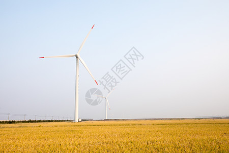 稻田风力发电机图片