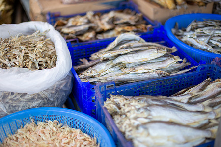 水产鱼类太湖水产市场背景