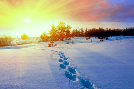 雪地行走冬季雪景设计图片