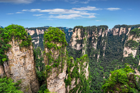 怪石张家界风景地貌背景